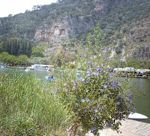 Am Fluß Dalyan