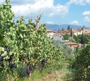 ein romantischer Ort imitten von Weinreben