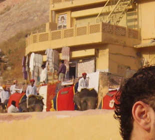 Die Elephanten mit Touristen