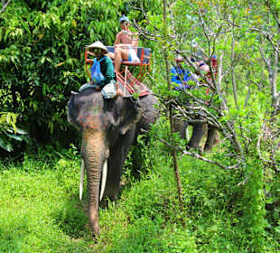 TAF Tour Elefanten Camp