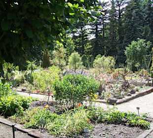 Außenanlage Botanischer Garten Potsdam
