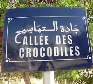 Krokodilfarm Eingang