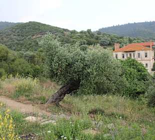 Kloster- wildromantisch gelegen