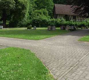 Neuer Friedhof
