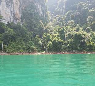 Mit der älteste Dschungel der Welt must see