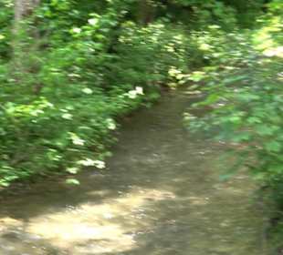 Wiesaztal Gönningen