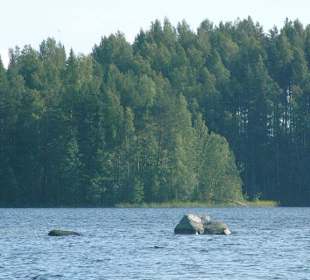 Lammunjärvi