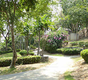 Gepflegte und saubere Anlage