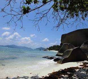 Strand im Nationalpark