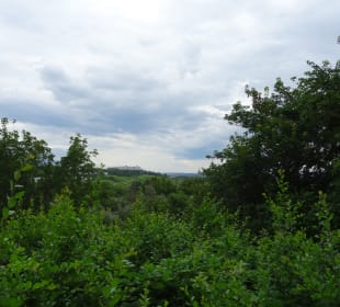 Im und ums Tapachtal