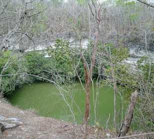 Cenote Sagrado