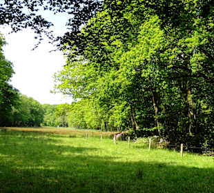 Impressionen vom Rundweg durch den Park