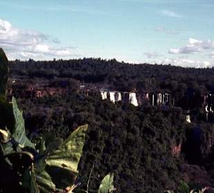Die Iguazu-Wsasserfälle aus der Ferne