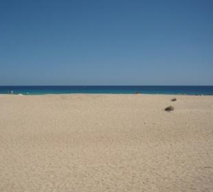 "Sand"strand bei Corralejo