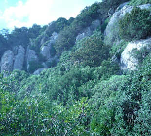 Landschaft Sardinien