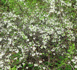 Slowakisches Paradies