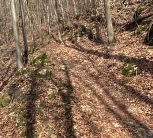 Burgruine Hohenwittlingen