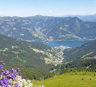 Wandern Zell am See