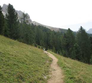 Wanderung in den Rosengarten