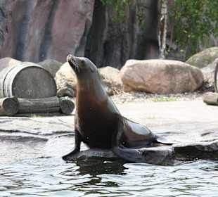 ZOOM Erlebniswelt Gelsenkirchen