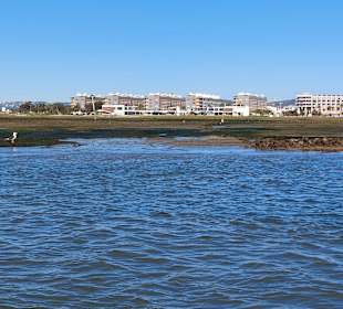 Bootstour Ria Formosa