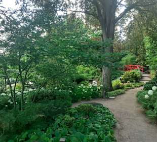 Japanischer Garten in Kaiserslautern