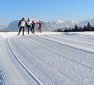 Skigebiet Val di Fiemme/Obereggen