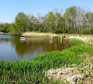 Strandbereich des Oyter Sees