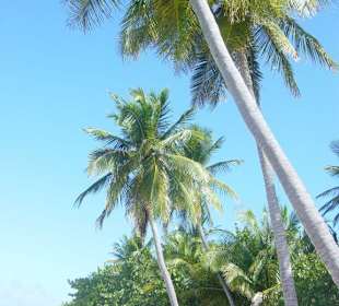 Ausflug auf die Insel Isla Saona