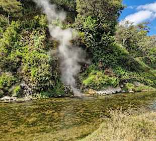 Waimangu Volcanic Valley