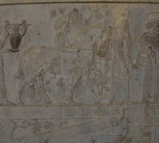 Płaskorzeźba w Persepolis