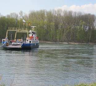 Die Rheinfähre Leimersheim