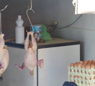 Kühlung - Fehlanzeige