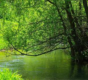 Reine Bachläufe vom Wasserwerk