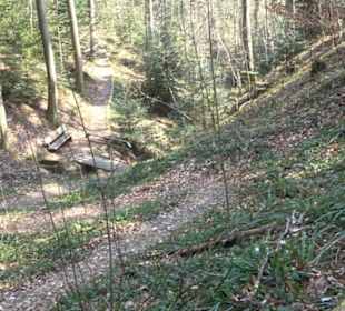 Grafenberger Brünnele