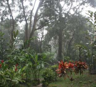 Ulewa w Palenque