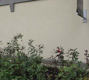 Kunstmuseum Lände Kressbronn