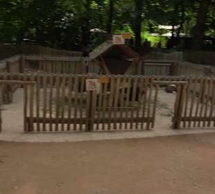 Tierpark Hellabrunn