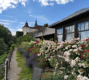 Rosengarten beim Schloss Langenburg