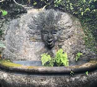Brief Garden: Eine Badewanne im Freien