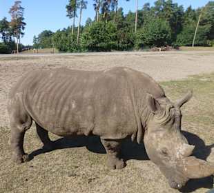 Stand direkt neben unserem PKW