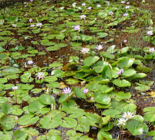 Im Nationalpark in den Bergen
