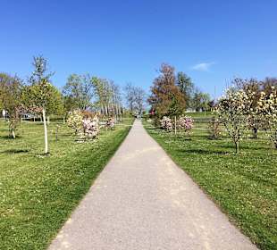 Kurpark Bad Rappenau