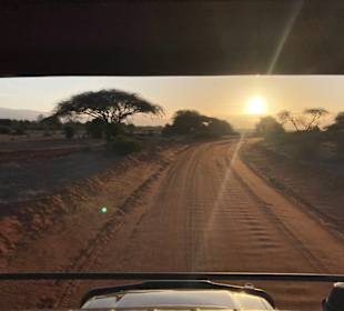 Julius Tact / JT Safaris