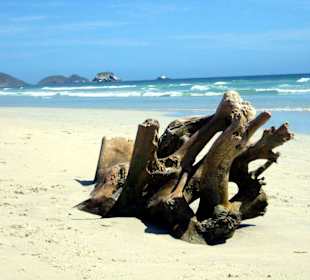Playa el Aqua