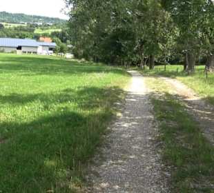 Premiumspazierweg Früchtetrauf-Leisawegle