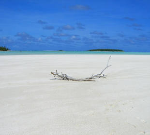 Escursione alle isole