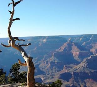 Grand Canyon