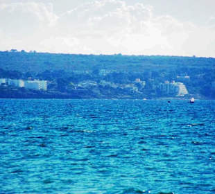 Das andere Ufergebiet