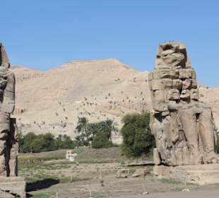 Memnon Kollosse